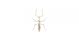 Camille Demoustier Joaillerie