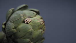 Camille Demoustier Joaillerie